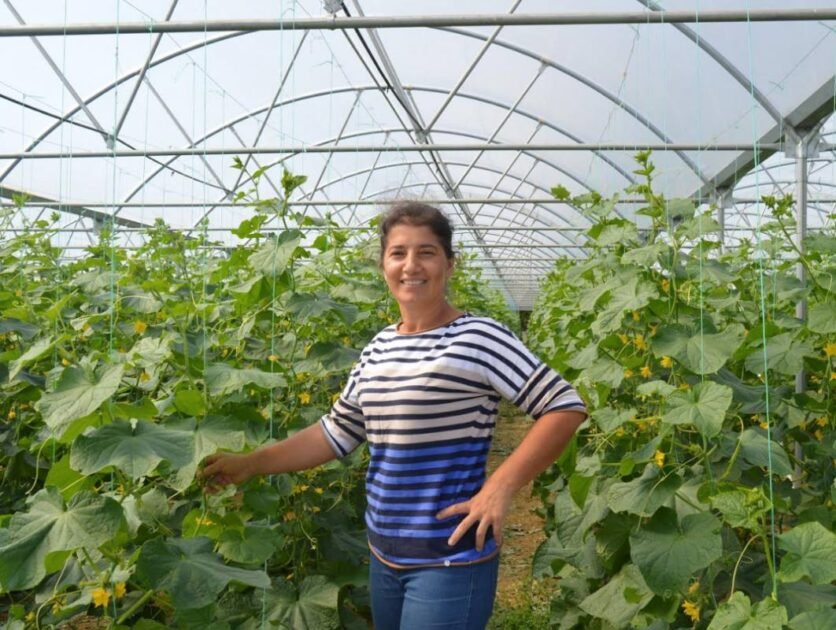 Gratë dhe toka në Ballkan: Sa fuqi kanë në fermat e tyre?