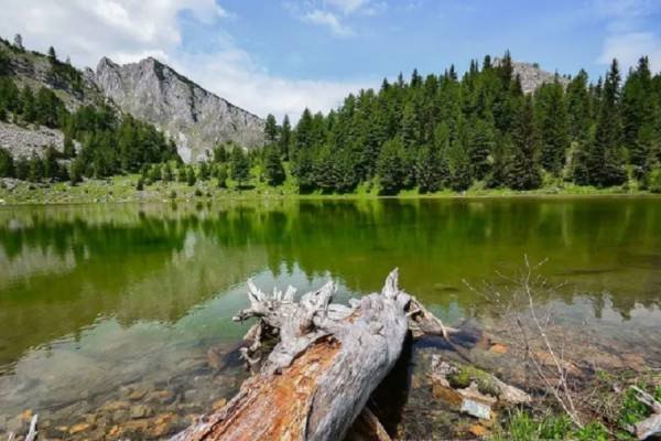 Rritje prej 34.9% e vizitorëve në hotelet e Kosovës gjatë korrikut 2025