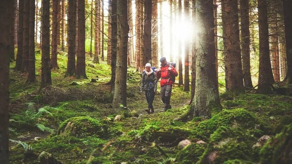 Suedia bëhet vendi i parë ku mjekët mund të përshkruajnë udhëtime për mirëqenie