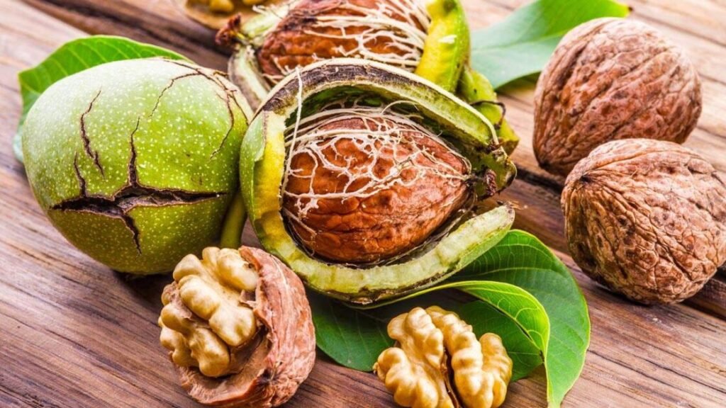 Dita Botërore e Arrave: Ushqimi që Ushqen Trurin dhe Lëkurën