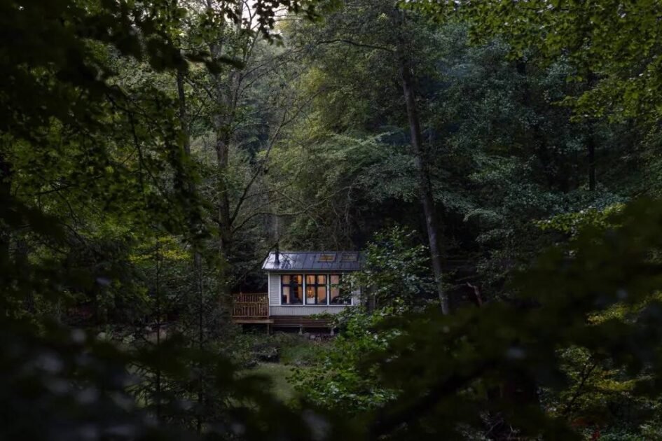 Pushime falas në Suedi… por vetëm nëse qëndron në heshtje