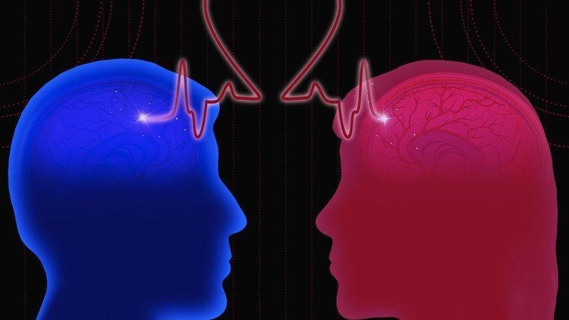 Pse truri ynë kujton më gjatë ofendimet sesa komplimentet: Biologjia dhe evolucioni i mendjes