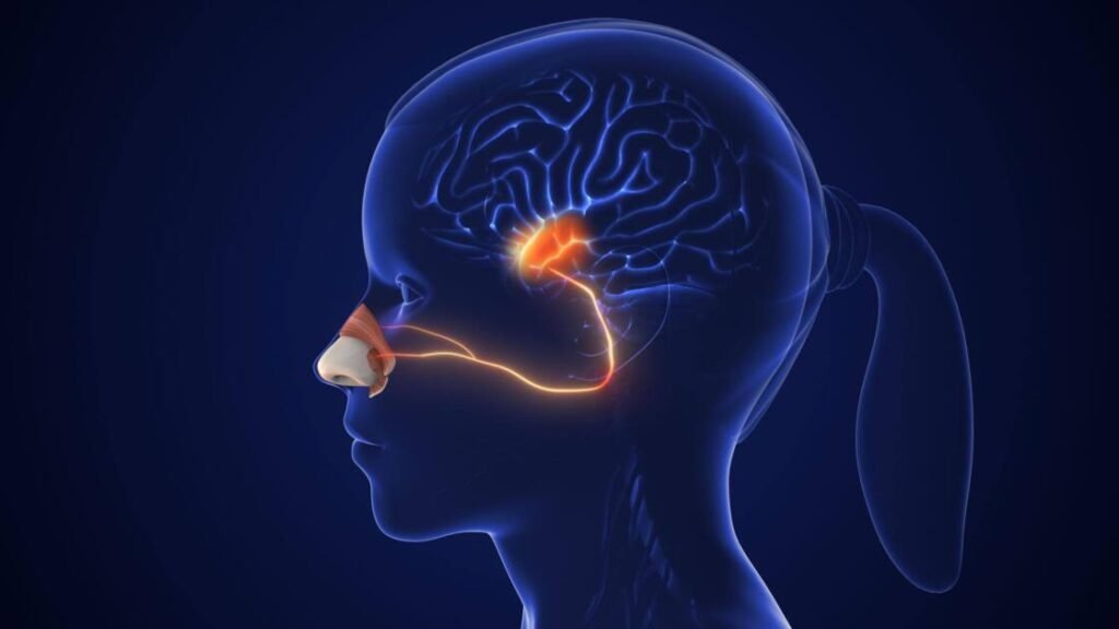 Njerëzit mund të dallojnë mbi 1 trilion aroma!