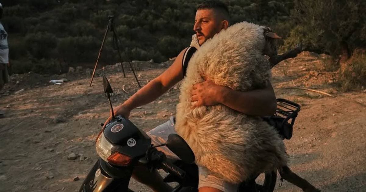 Fotografia e Shqiptarit që Shpëtoi Delen nga Zjarri në Greqi, përfshirë nga BBC në Listën e Fotove më Ikonike të 2025-s