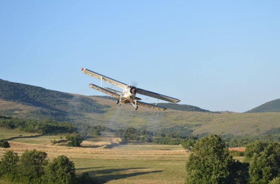 Nis fushata vjeshtore kundër tërbimit tek kafshët e egra, vaksinat shpërndahen nga ajri