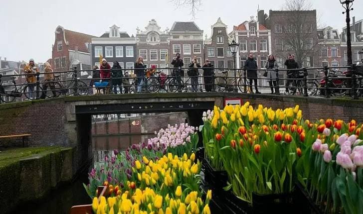 Holanda shpallet vendi më i sigurt në botë për t’u vizituar në vitin 2026