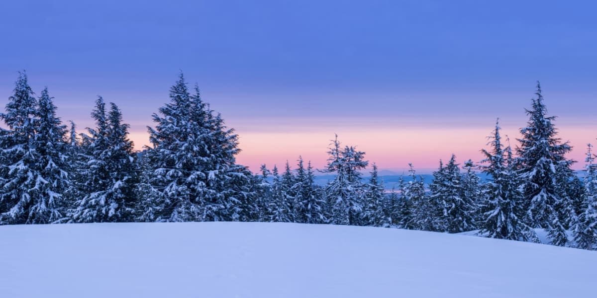 “Dimri i shekullit”? Meteorologët zviceranë shuajnë panikun: sezoni pritet i butë