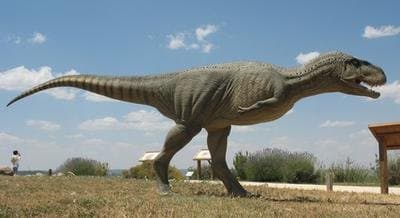 “Autostrada e Humbur e Dinosaurëve në Bolivi: Zbulimi që ndryshon historinë”