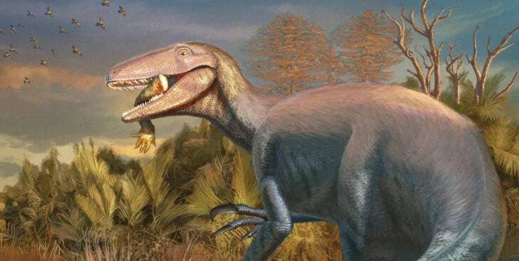 Zbulimi i Jashtëzakonshëm në Argjentinë: Dinozauri i Ri “Joaquinraptor Casali” me Ushqimin e Fundit në Gojë