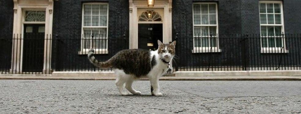 Larry mbetet në Downing Street: macoku që “mbijetoi” edhe një kryeministër tjetër